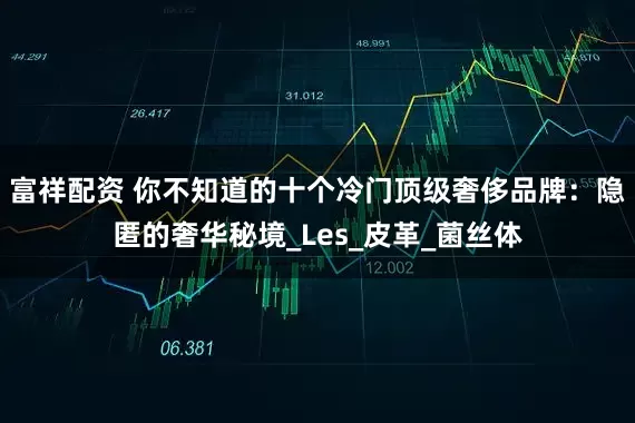 富祥配资 你不知道的十个冷门顶级奢侈品牌：隐匿的奢华秘境_Les_皮革_菌丝体