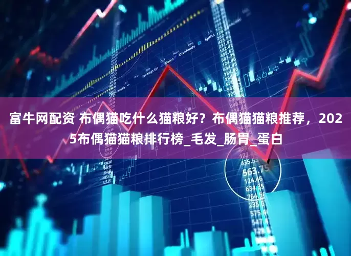 富牛网配资 布偶猫吃什么猫粮好？布偶猫猫粮推荐，2025布偶猫猫粮排行榜_毛发_肠胃_蛋白